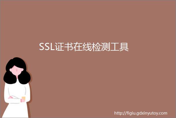 SSL证书在线检测工具